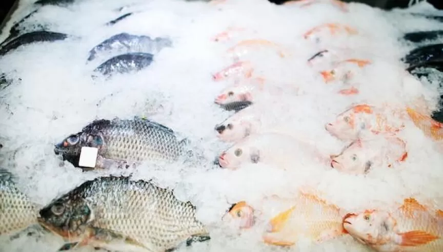 Aquaculture