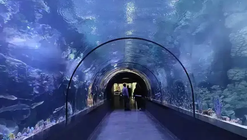 Aquariums